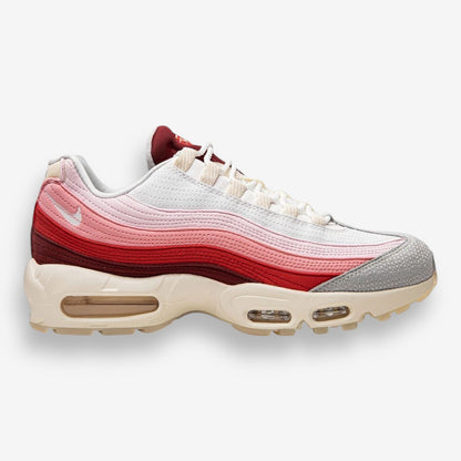 Nike Air Max 95 "Anatomy Of Air"